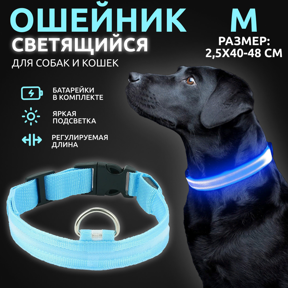 Ошейник светящийся для собак и кошек светодиодный нейлоновый голубого цвета, размер M - 2,5х40-48 см #1