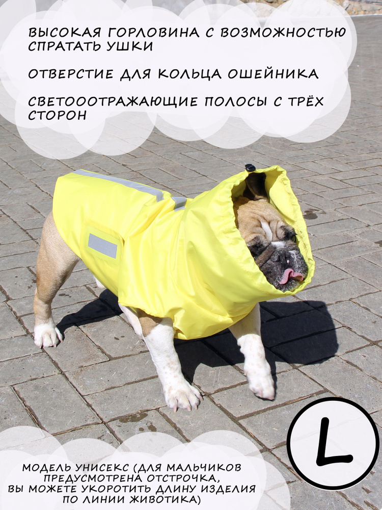 Дождевик для собак французского бульдога и мопса, весна-осень.  #1