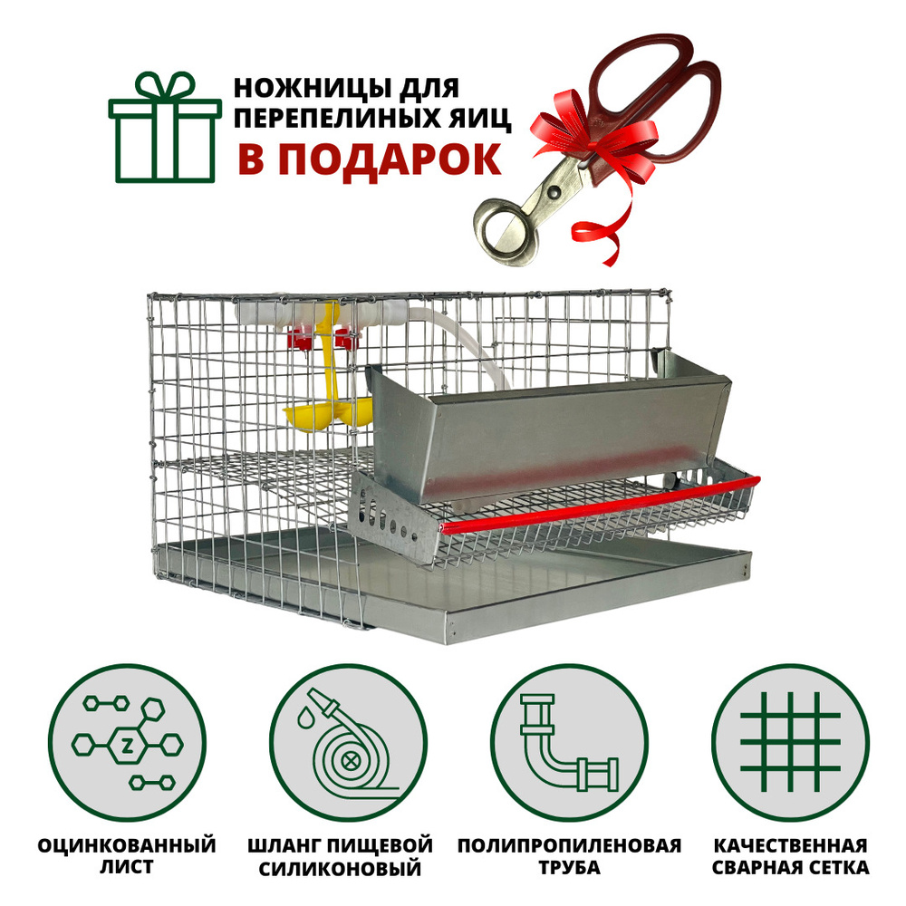 Клетка для перепёлок и перепелов на 10 голов в полной комплектации. Сельская Удача  #1