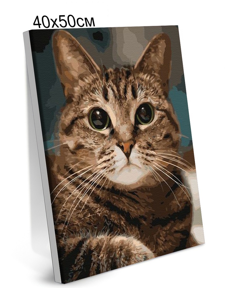 Картина по Номерам на Холсте 40х50 см Colibri Милый Котик С Подрамником для Детей и Взрослых  #1