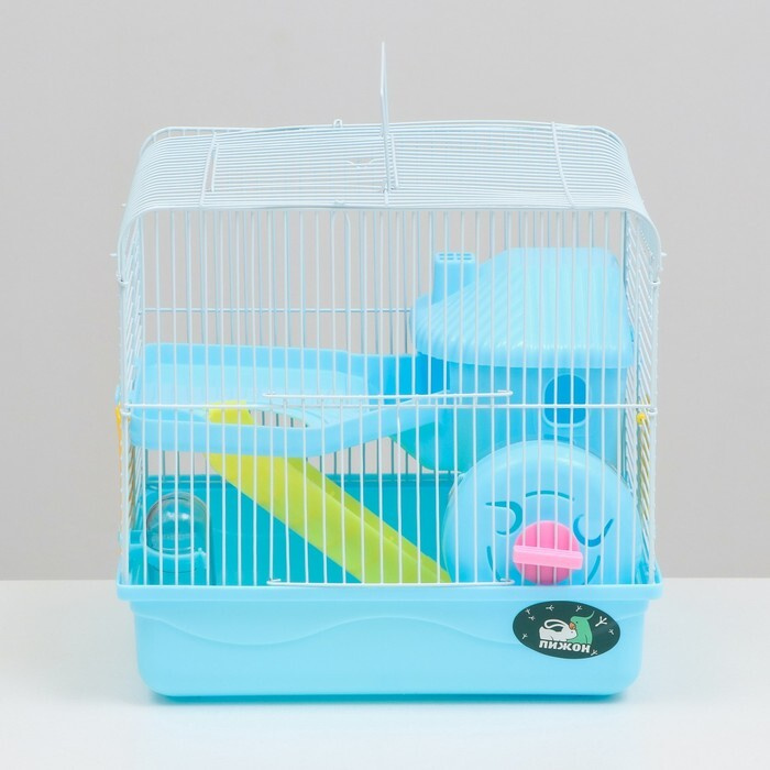Клетка для грызунов "Пижон", двухэтажная с наполнением 31 х 24 х 29 см, голубая  #1