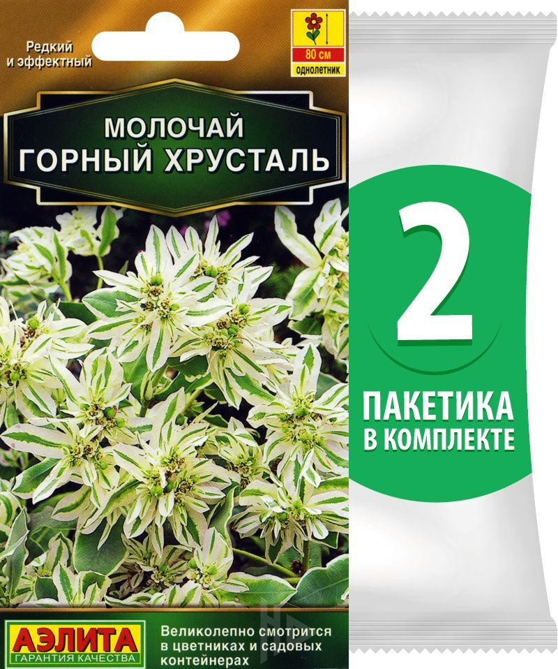 Семена Молочай Горный Хрусталь, однолетние цветы для сада, 2 пакетика по 0,5г/20шт  #1