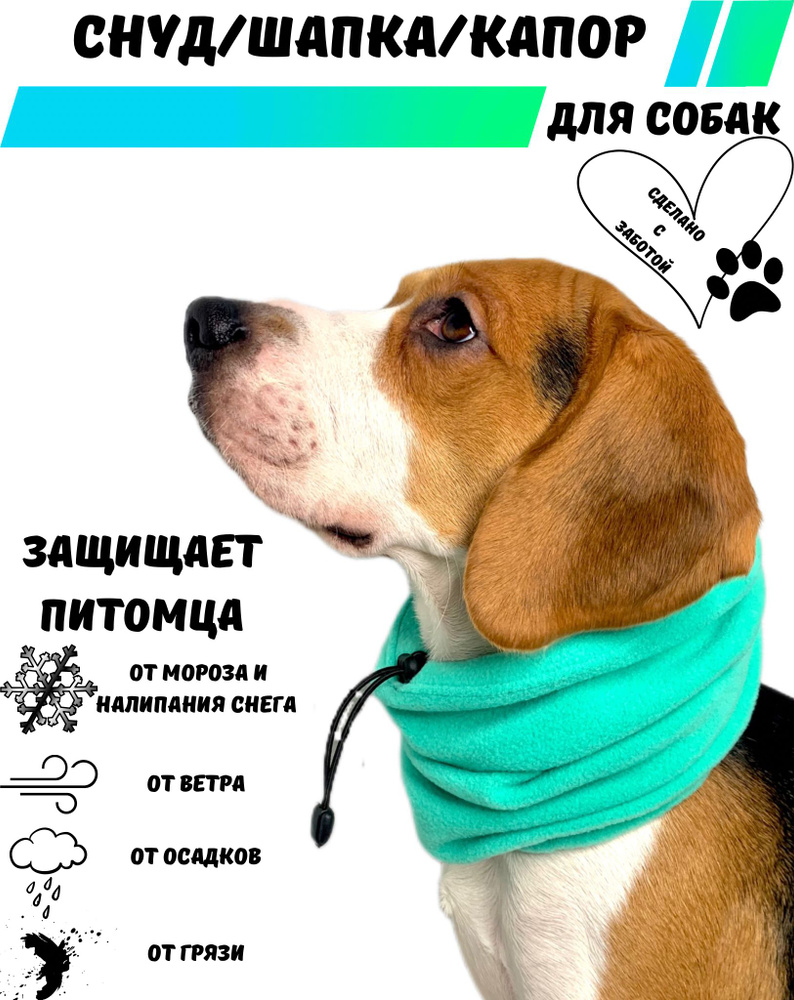 Снуд / Капор / Шапка для собак MARCHI&DOGS, с разрезом под ошейник, бирюзовый 50-60 см  #1