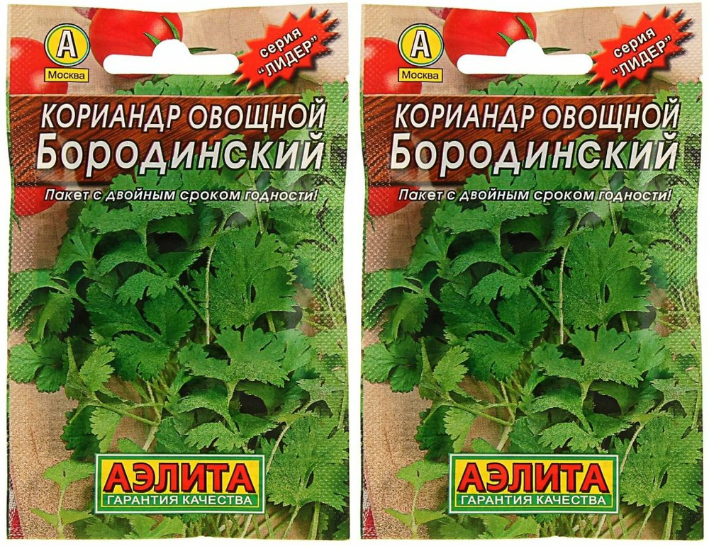 Кориандр Бородинский, 2 пакетика по 3 гр. семян, Аэлита #1