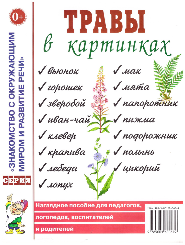 Травы в картинках. Наглядное пособие для педагогов, логопедов, воспитателей и родителей  #1