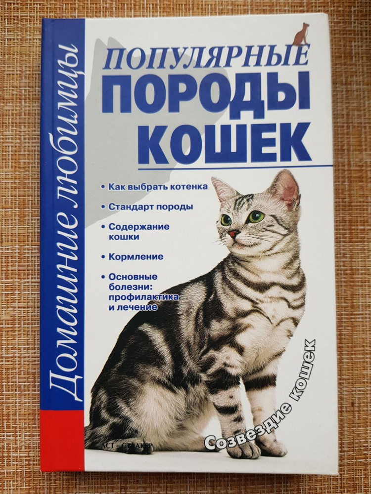 Популярные породы кошек / Головко Любовь Евгеньевна #1