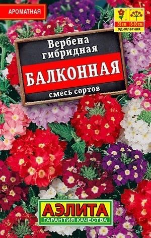 ВЕРБЕНА БАЛКОННАЯ. Семена. Вес 40 шт. Кустики компактные. Цветки ароматные. Растения неприхотливые.  #1