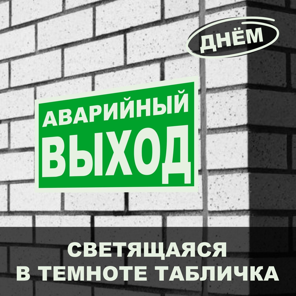 Фотолюминесцентная эвакуационная табличка "Аварийный выход" 20х10 см, Печатник  #1