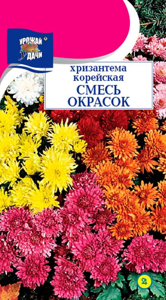 Хризантема многолетняя КОРЕЙСКАЯ СМЕСЬ (Семена УРОЖАЙ УДАЧИ, 0,02 г семян в упаковке)  #1