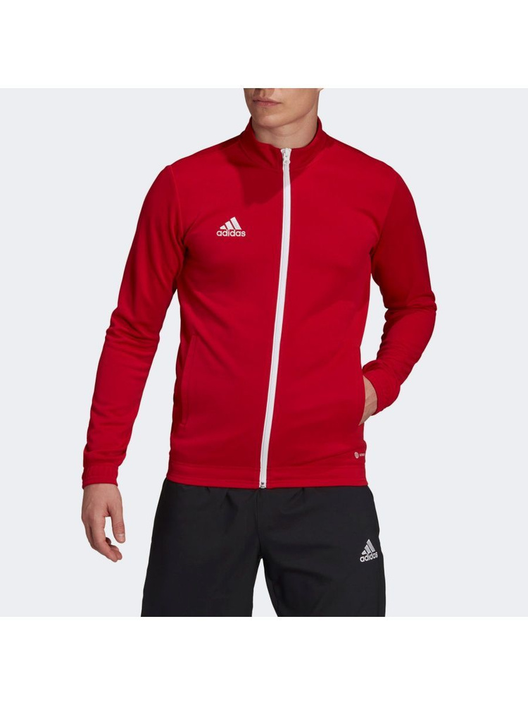 Олимпийка adidas #1