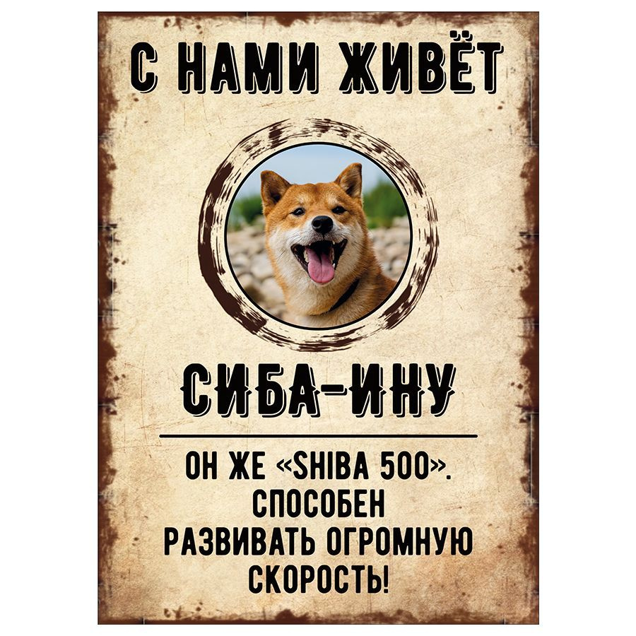 Табличка, декоративная, DANGER DOG, С нами живет Сиба-ину, 18см х 25см  #1