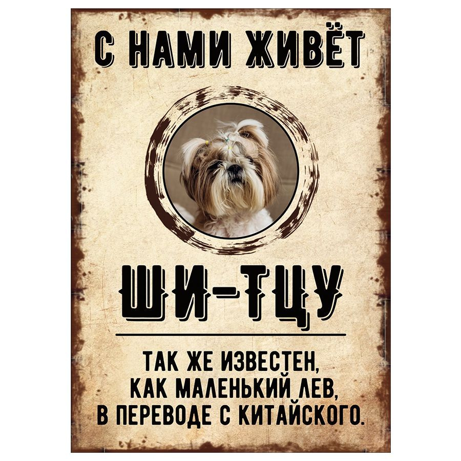 Табличка, декоративная, DANGER DOG, С нами живет Ши-тцу, 18см х 25см  #1