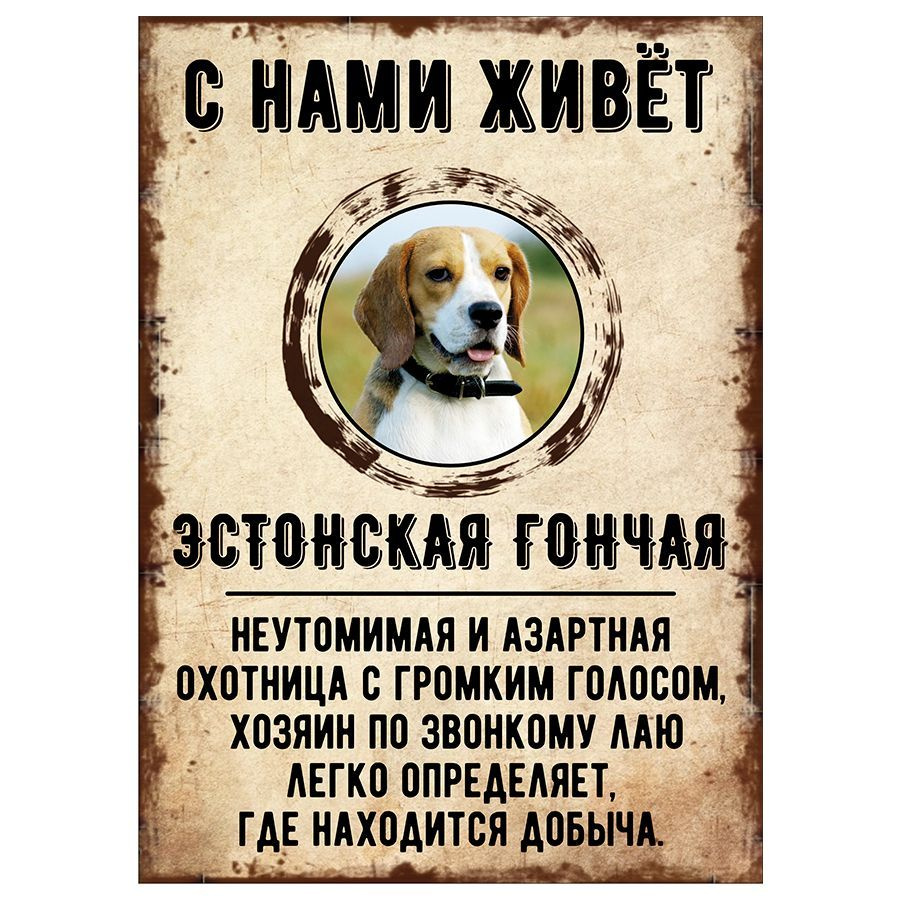 Табличка, декоративная, DANGER DOG, С нами живет Эстонская гончая, 18см х 25см  #1