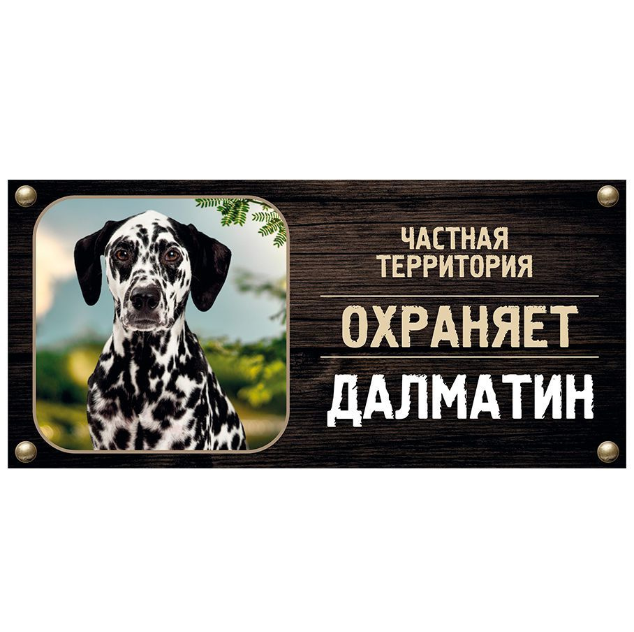 Табличка, Злая собака, Территорию охраняет Далматин, на металлической основе, 30см х 14 см, на забор, #1