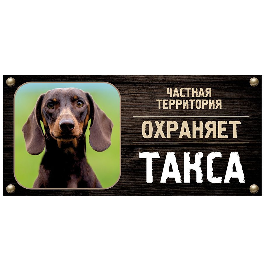 Табличка, Злая собака, Территорию охраняет Такса, на металлической основе, 30см х 14 см, на забор, на #1