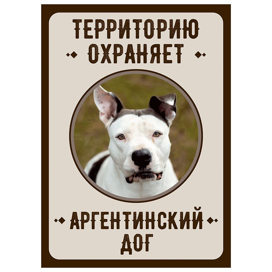 Табличка, Злая собака, Территорию охраняет Аргентинский дог, на металлической основе, 18см х 25 см, на #1