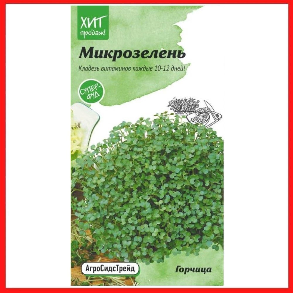 Семена Микрозелень Горчица, 5 гр, для дома, дачи и огорода, в открытый грунт, на подоконник, в контейнер. #1
