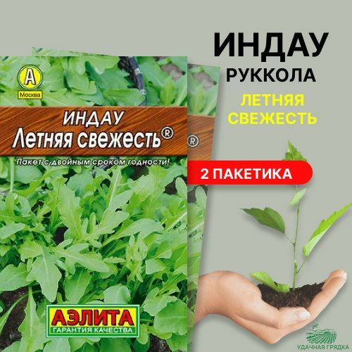 Индау (руккола) Летняя свежесть, 2 пакетика по 0,3г, семена Аэлита  #1