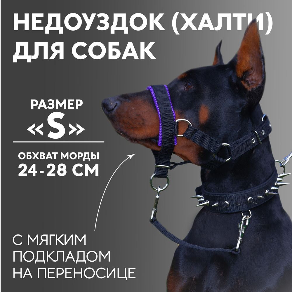Недоуздок(халти) TESLA COLLAR для собак "S" с фиолетовым подкладом  #1