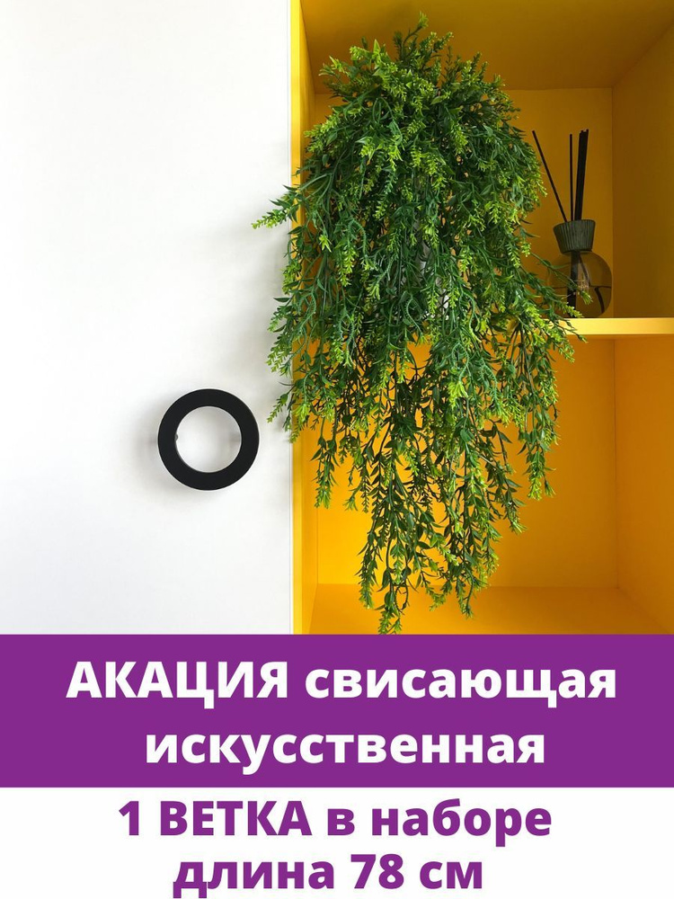 Ампельное растение, искусственная зелень, Акация, 78 см., 1 ветка.  #1