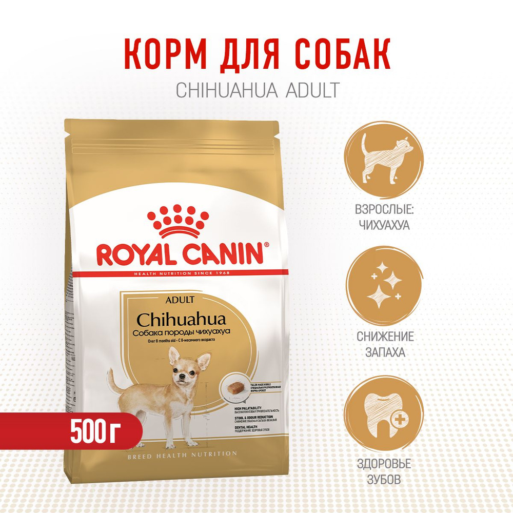 Royal Canin Chihuahua Adult сухой корм для взрослых собак породы чихуахуа - 500 г  #1