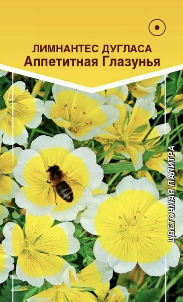 Лимнантес Дугласа АППЕТИТНАЯ ГЛАЗУНЬЯ, 1 пакет, семена 10 шт, Евросемена  #1