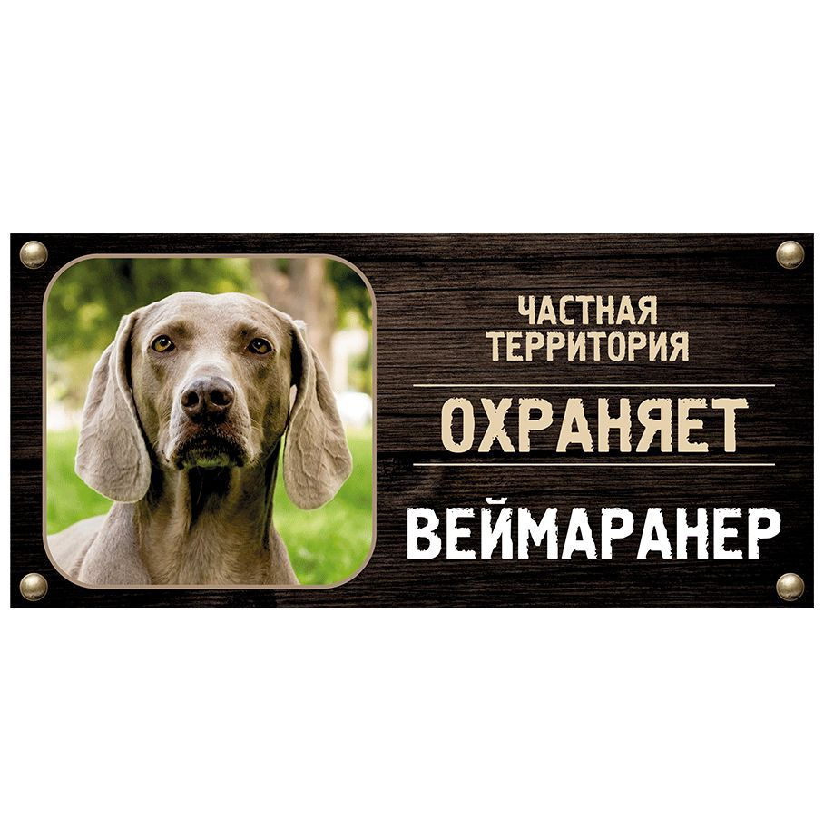 Табличка, Злая собака, Территорию охраняет Веймаранер, на металлической основе, 30см х 14 см, на забор, #1