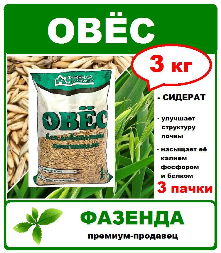 Овес семена 3 кг. (3шт по 1кг) Сидерат, улучшитель почвы. Без добавления пестицидов. Фазенда Сибири  #1
