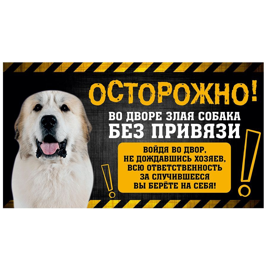 Табличка, с юмором, прикол, DANGER DOG, Осторожно! Во дворе собака без привязи, Пиренейская горная собака, #1