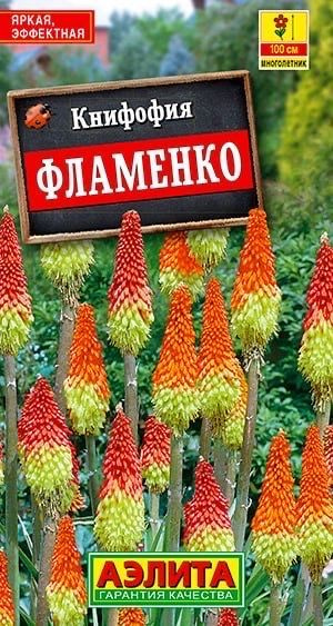 КНИФОФИЯ ЯГОДНАЯ ФЛАМЕНКО. Семена. Вес 0,1 гр. Многолетнее растение экзотического вида, которое станет #1