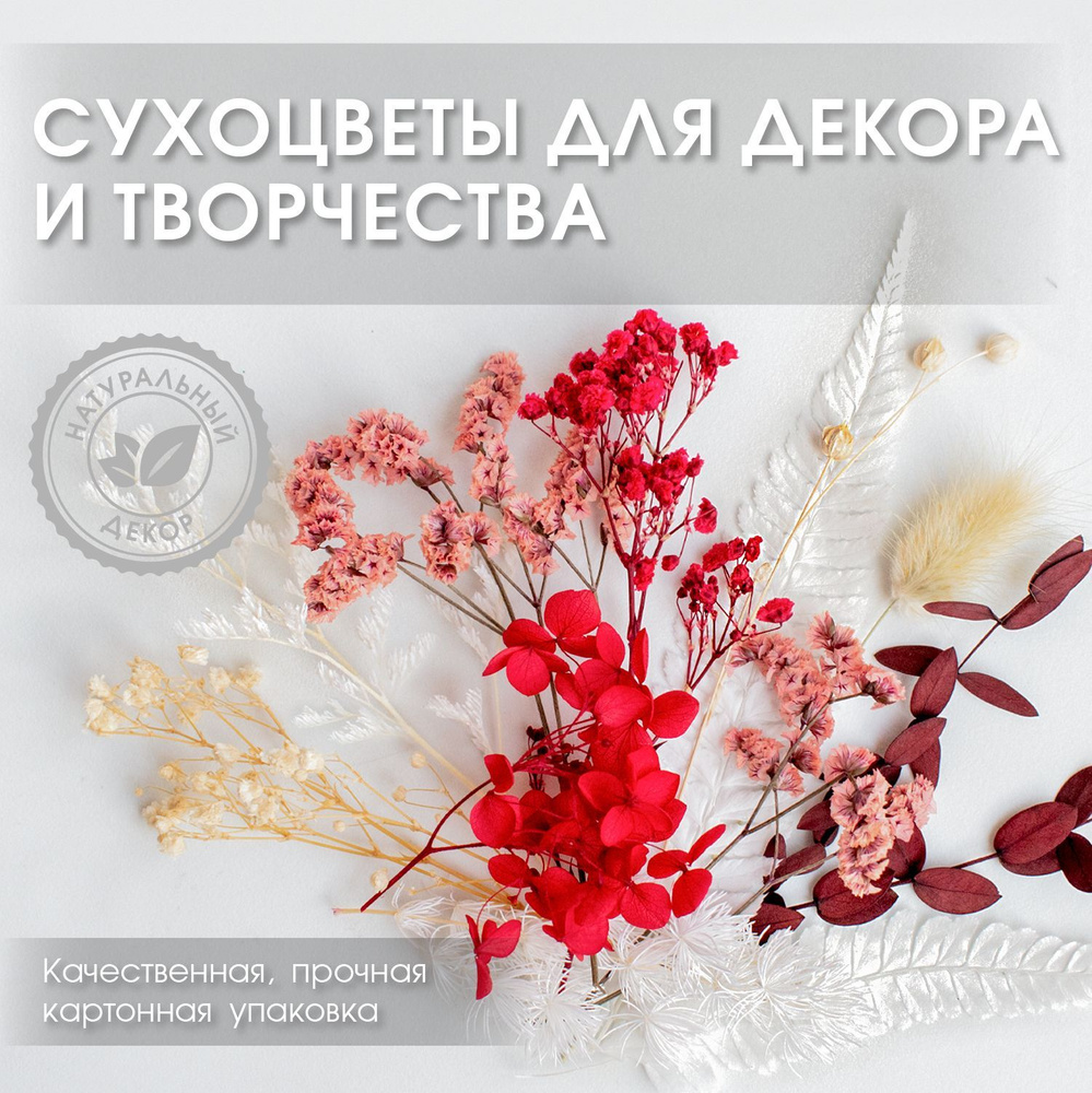 ENiNE decor Сухоцветы Гортензия, Эвкалипт, 10 см, 10 гр #1