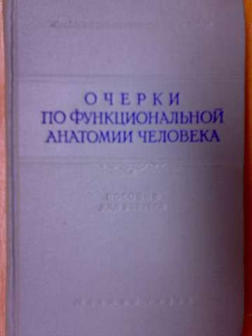 Очерки по функциональной анатомии человека | Ковешникова А. К., Яковлева Е.  #1