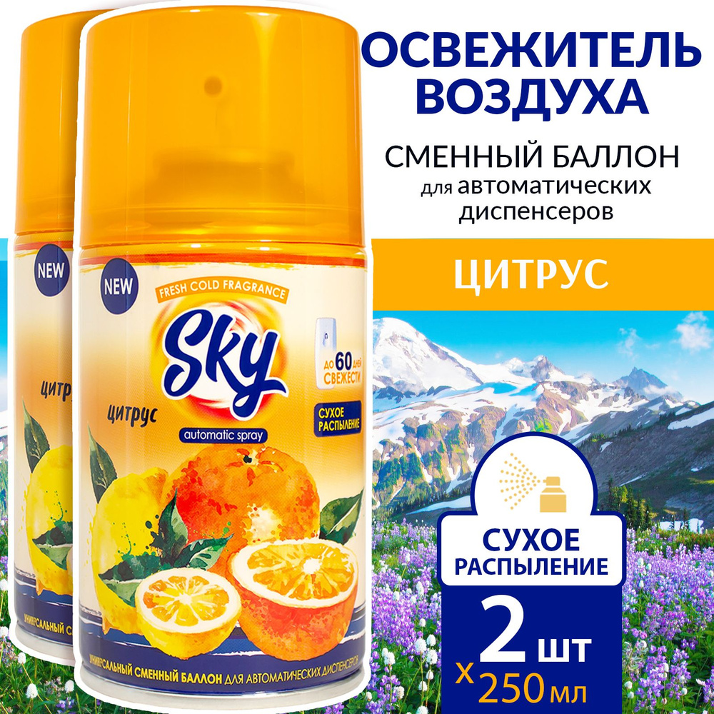 Sky Max Сменный баллон для освежителя воздуха 2 х 250мл Цитрус  #1