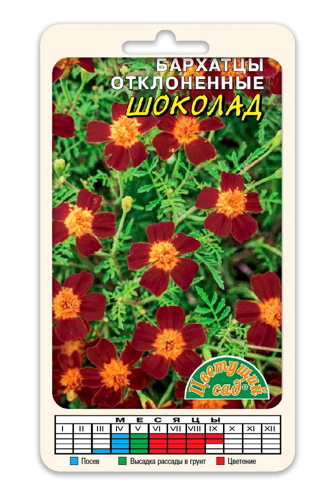 Бархатцы (Тагетес) ШОКОЛАД (Семена ЦВЕТУЩИЙ САД, 0,05 г семян в упаковке)  #1