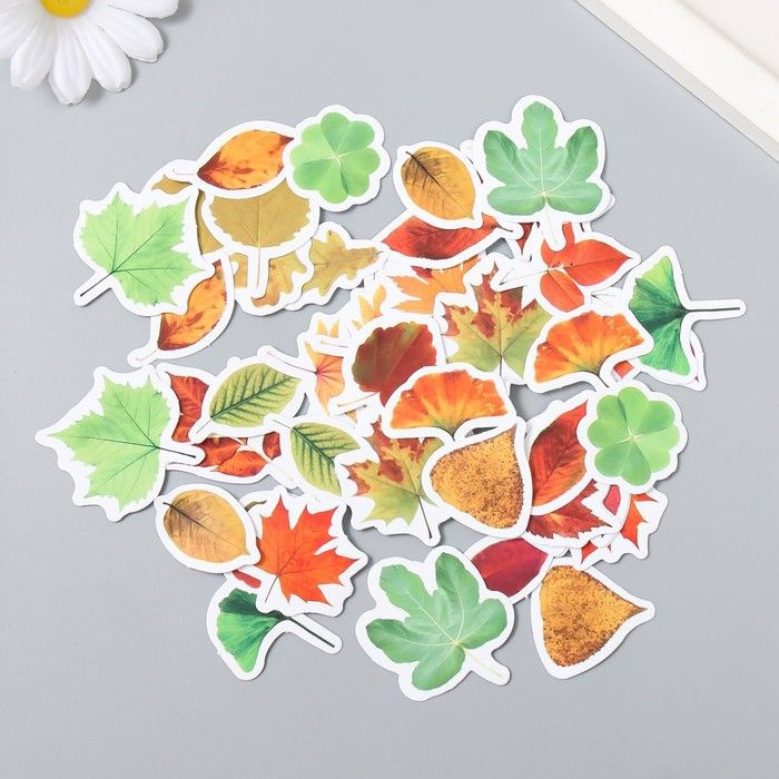Наклейки для творчества КНР "Осенние листья" 6,4х4,4х1,1 см, набор 46 шт (9280456)  #1