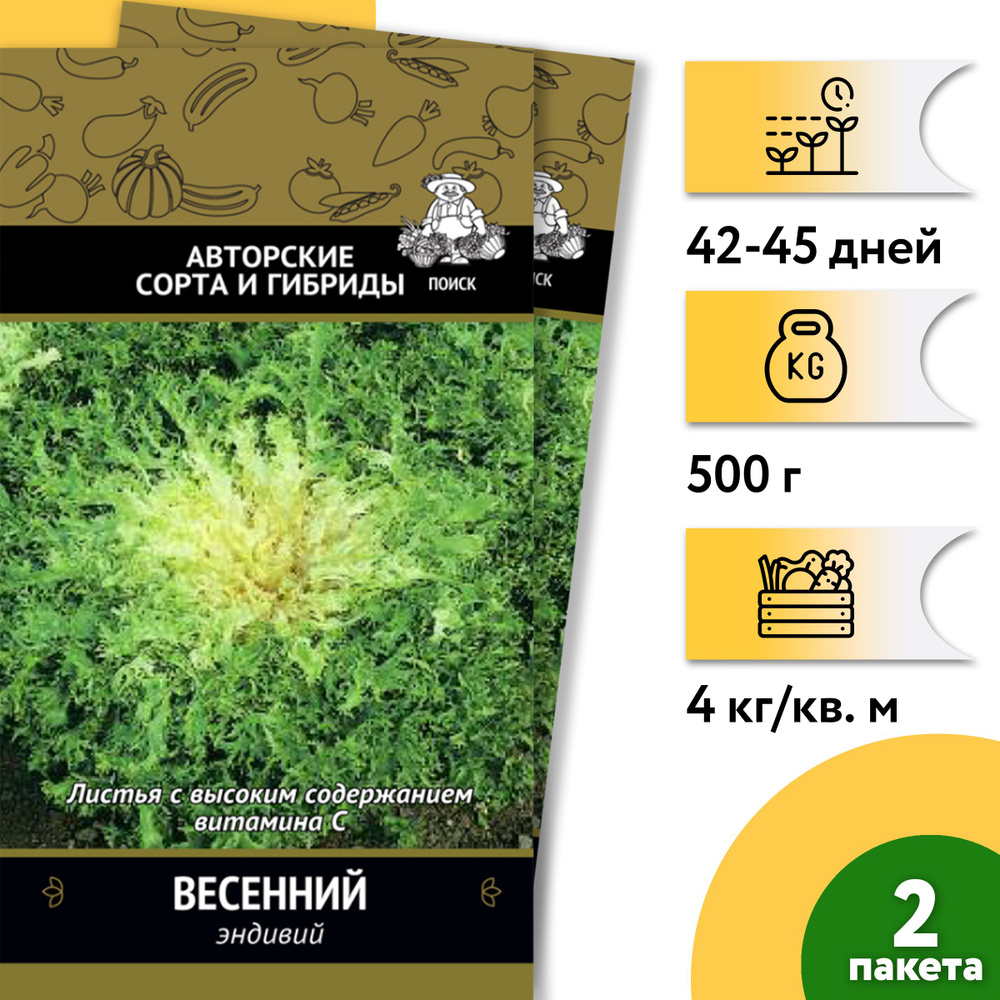 Эндивий Весенний (2 уп по 0,5 г). Листья с высоким содержанием витамина С. Экзотические овощи - Семена #1