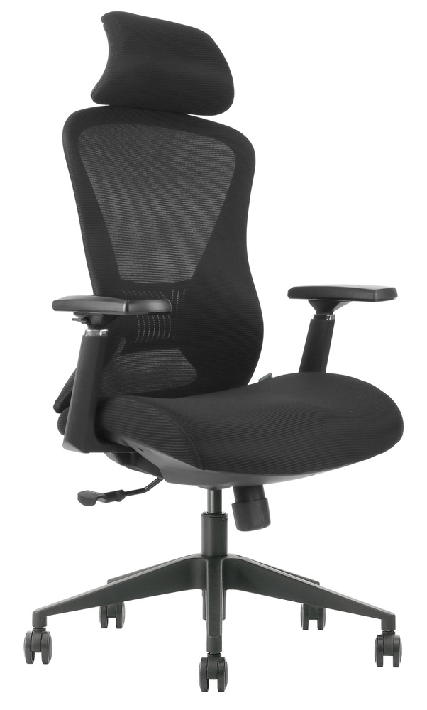 Кресло офисное компьютерное эргономичное EVOLUTION OFFICE COMFORT Black  #1
