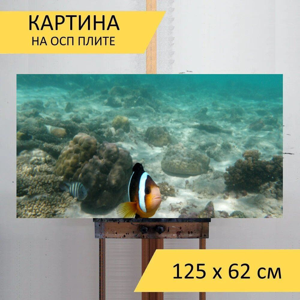 LotsPrints Картина "Рыбы, подводный, риф 37", 125  х 62 см #1