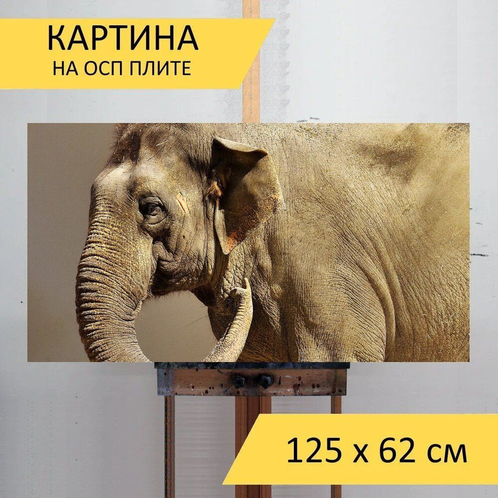 LotsPrints Картина "Слон, ствол, песок 41", 125  х 62 см #1