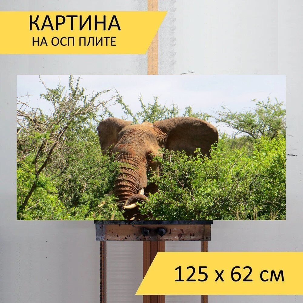 LotsPrints Картина "Слон, животное, сафари 67", 125  х 62 см #1