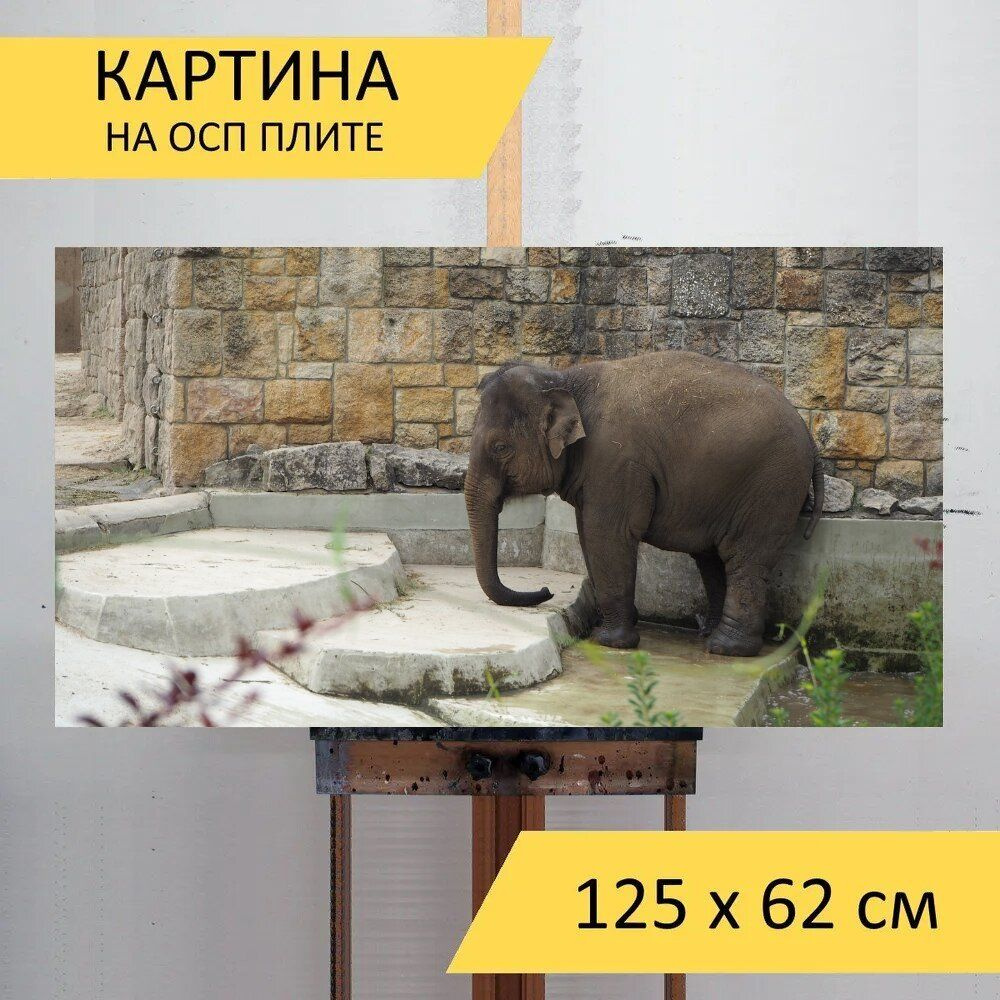 LotsPrints Картина "Слон, животные, зоопарк 39", 125  х 62 см #1