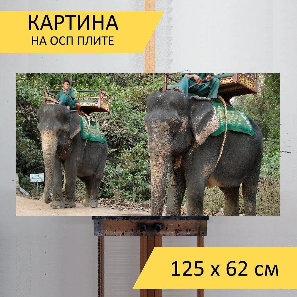 LotsPrints Картина "Слон, камбоджа, животное 83", 125  х 62 см #1