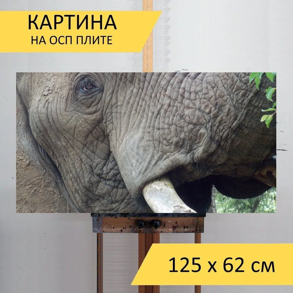 LotsPrints Картина "Слон, локсодонта, африка 54", 125  х 62 см #1