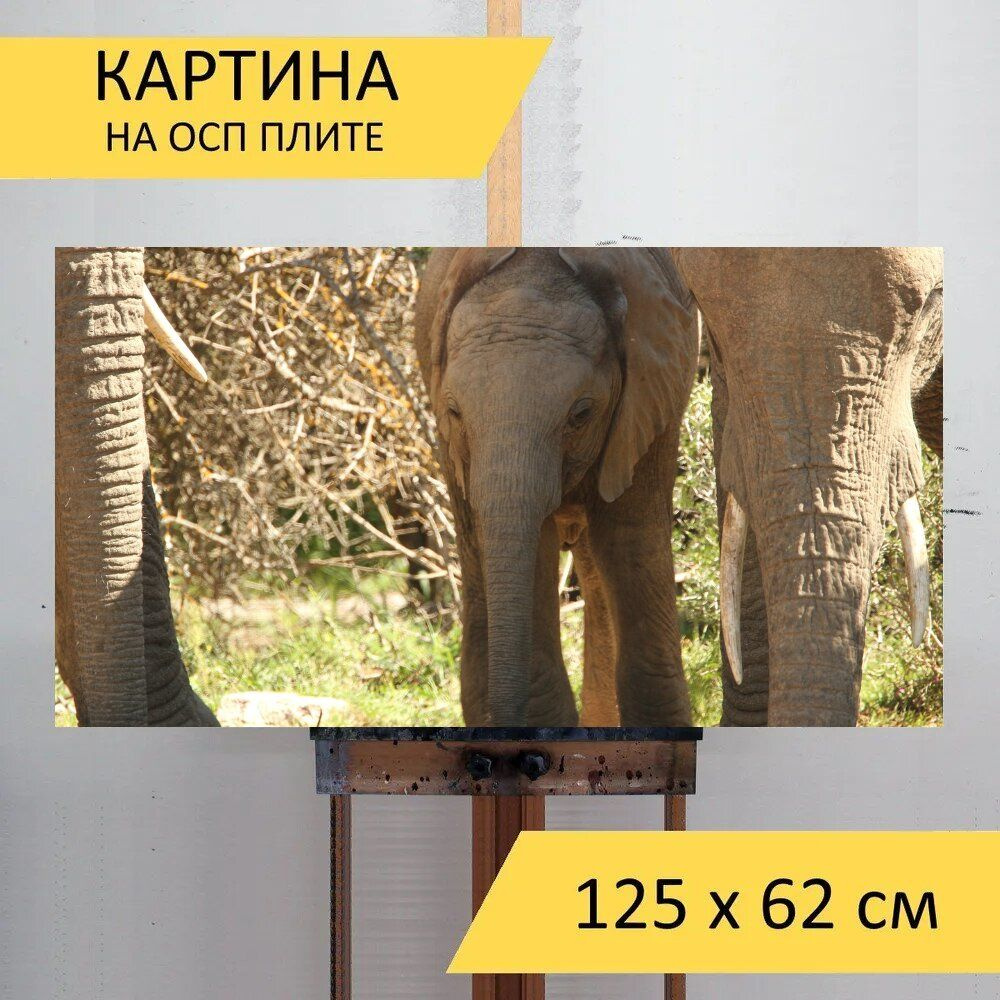 LotsPrints Картина "Слон, телец, африка 56", 125  х 62 см #1