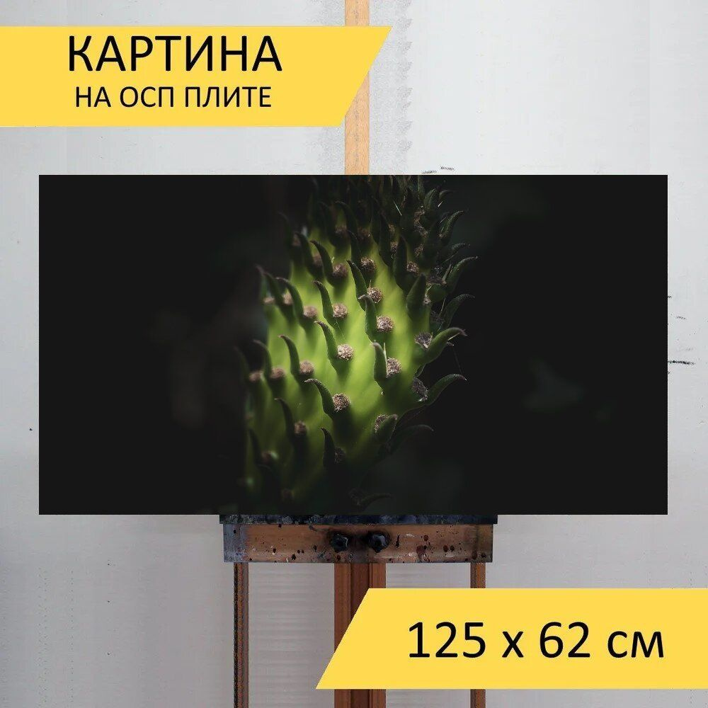 LotsPrints Картина "Кактус, зеленый, завод 43", 125  х 62 см #1