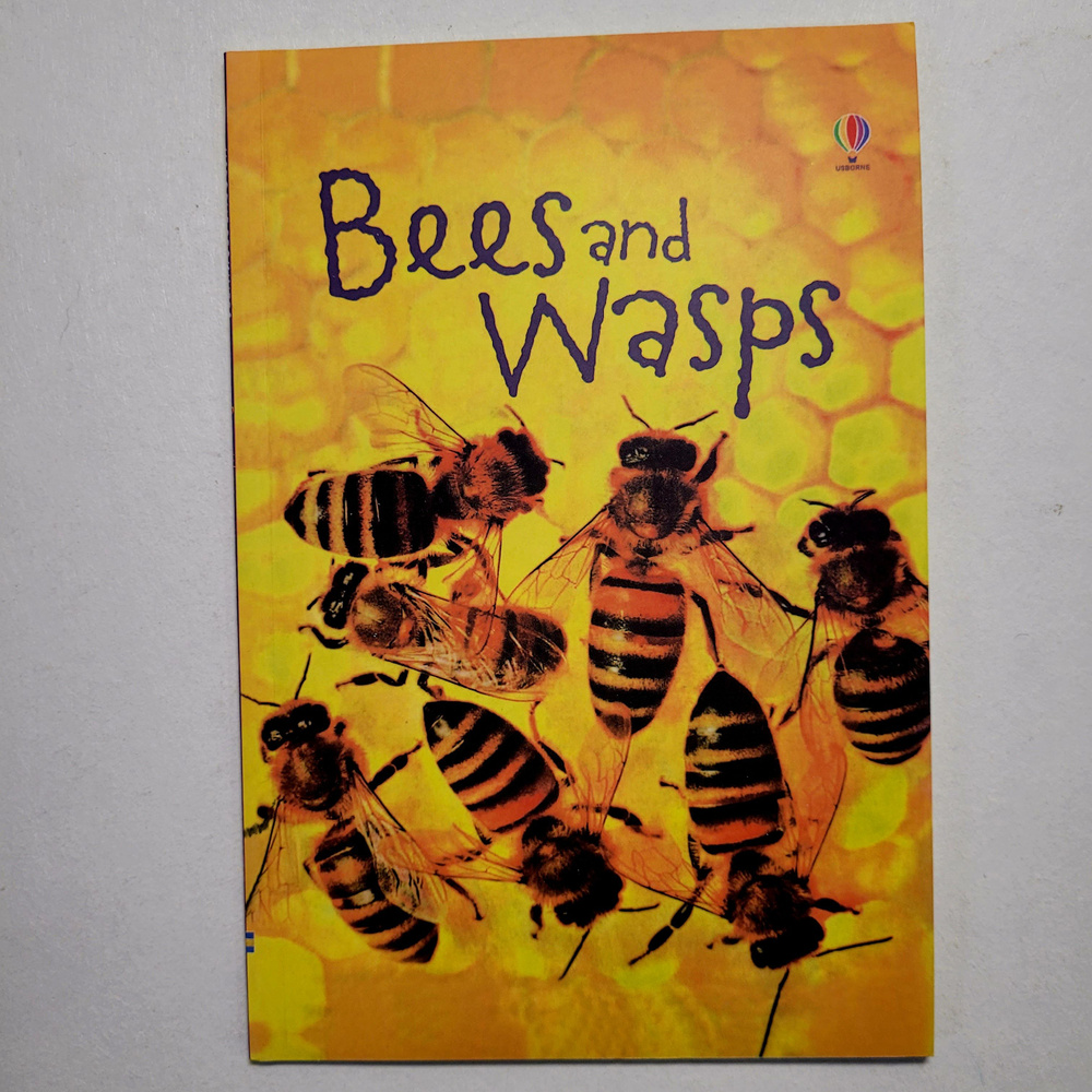 Usborne beginners. Bees and Wasps | Maclaine James #1