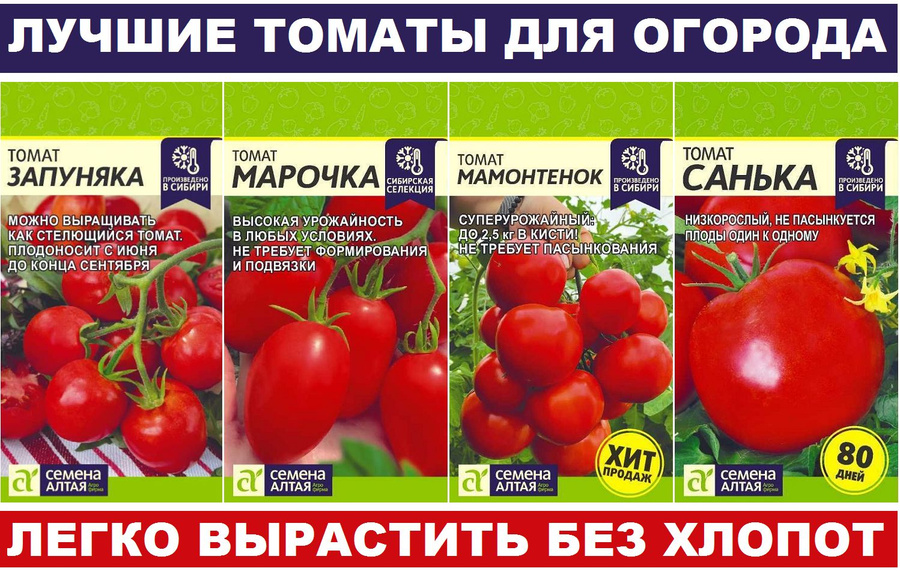 Помидоры запуняка описание сорта фото Семена Томатов Север - купить в интернет-магазине OZON по низкой цене