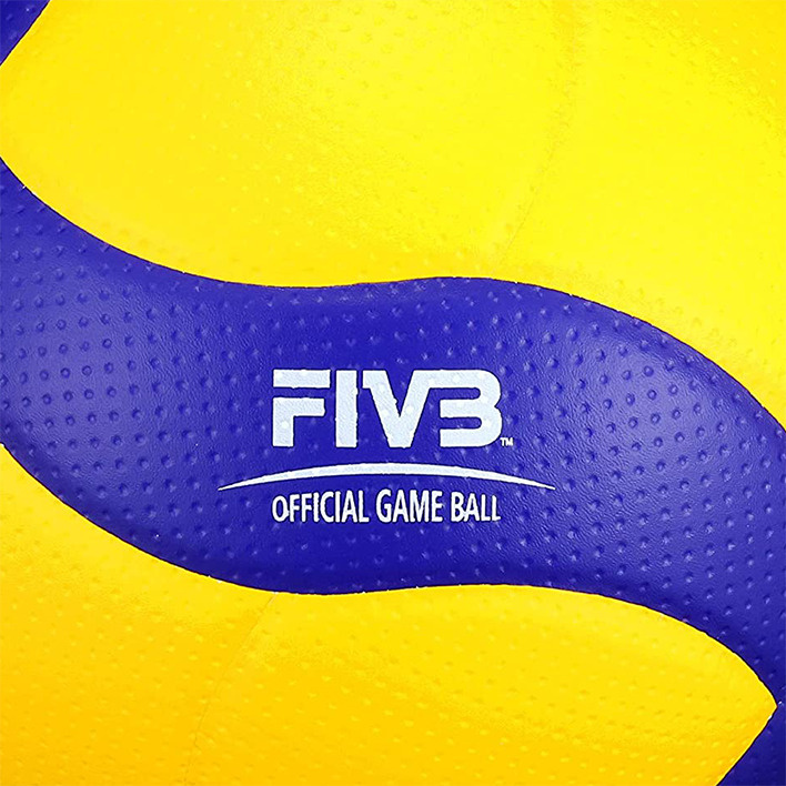 Официальный мяч FIVB