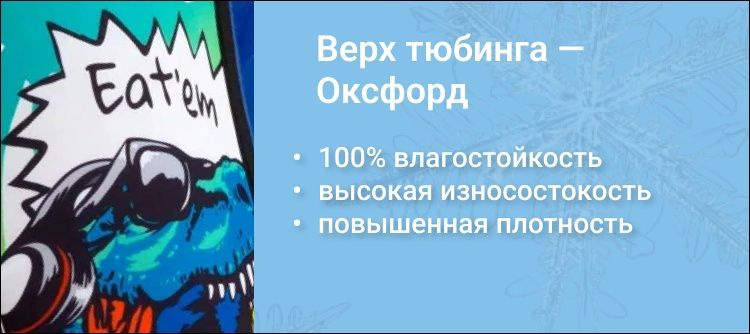 Текстовое описание изображения