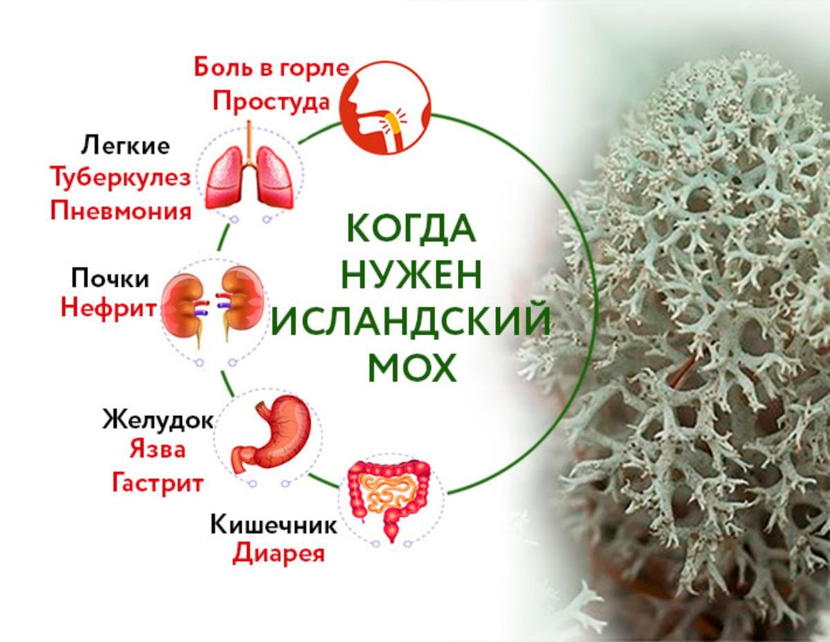 Почему выбирают нашу продукцию?